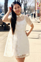 Load image into Gallery viewer, French Style Shirt Collar Sheer Lace Short Dress