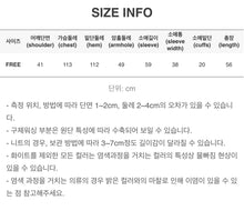 Load image into Gallery viewer, Soft Temperament Pleated Collar Chiffon Blouse