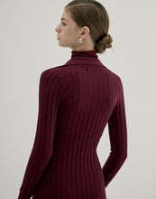 Load image into Gallery viewer, Straight Ribbed Lapel Knitted Long Dress
