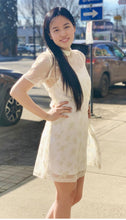 Load image into Gallery viewer, French Style Shirt Collar Sheer Lace Short Dress
