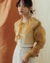 Load image into Gallery viewer, Large Collar Transparent Skin Outer Cover Top
